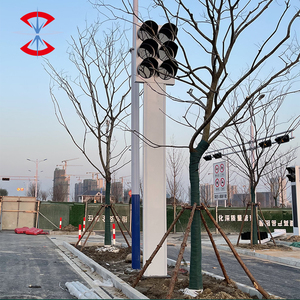 Tùy chỉnh Led tín hiệu giao thông kỹ thuật số đèn với đồng hồ đếm ngược - Product Image 6