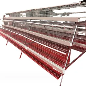 Egg Layer Chicken Cage For South Africa Poultry Farm Chicken House