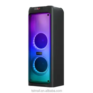 Bt Dual 10 Inch With Fire Effect Led Light Music Player Speaker Portable Karaoke Entertainment Sound System