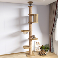 OEM ODM Arbre à chat Meubles Poteau à gratter Cadre d'escalade pour chat avec capsule spatiale