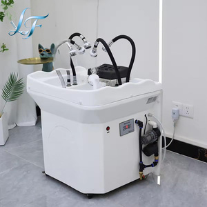 <span class=keywords><strong>Bac</strong></span> de lavage compact pour spa capillaire sans plomberie, mobile, style japonais, avec chauffage et réservoir d'eau de 60L, pour salon de coiffure et massage - Product Image 5