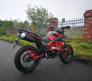 FUEGO <strong>TEKKEN</strong> 250 Cheap for Sale <strong>250cc</strong> All Terrain <strong>Motorcycle</strong> 11190125 - Product Image 2