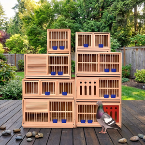 Cage à pigeons en bois de haute qualité, petite, résistante aux intempéries, nichoir, étagère d'élevage pour l'élevage de pigeons, pigeonnier en bois pour pigeons voyageurs - Product Image 1