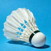 Volant de badminton professionnel hybride en plumes de canard, tête en liège, haute élasticité, 5g, stable, durable, léger, niveau tournoi
