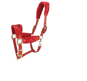 Ensemble de harnais pour cheval en nylon et laine de qualité supérieure, design confortable et portable, vente en gros - Product Image 1