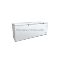 Congélateur horizontal commercial haute efficacité, double usage (réfrigération et congélation), refroidissement stable