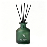 Diffuseur de parfum en verre dépoli de luxe moderne et minimaliste, sans BPA, sans alcool, longue durée, avec bâtonnets en fibre noire