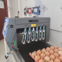 Machine de marquage par jet d'encre pour œufs, pour l'impression de la date de production sur les œufs frais, équipement de codage automatique des œufs pour les fermes avicoles