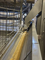 Les cages à poules de type H sont adaptées à l'élevage de flocks de plus de 10 000 poules pondeuses.