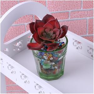 <span class=keywords><strong>Plante</strong></span> artificielle personnalisée en gros, mur grimpant réaliste, étiquette personnalisée, décoration de mariage, fleurs et plantes décoratives - Product Image 2