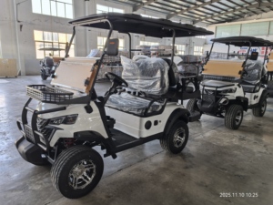WELIFTRICH Voiturette de golf électrique tout-terrain 3-4 places, batterie lithium 60V, entièrement étanche, pour la chasse et le tourisme, 30-50 km/h, autonomie 90 km - Product Image 4