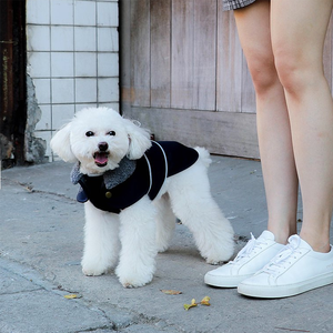 Chubasquero universal para perros grandes, chaqueta impermeable de alta costura, con solapa peluda - Product Image 6
