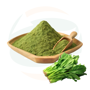 ผงสารสกัดผักโขมพรีเมียมจากสมุนไพรจีน <span class=keywords><strong>คลอ</strong></span><span class=keywords><strong>โร</strong></span><span class=keywords><strong>ฟิ</strong></span><span class=keywords><strong>ล</strong></span><span class=keywords><strong>ล</strong></span>์ธรรมชาติ อุดมด้วยธาตุเห<span class=keywords><strong>ล</strong></span>็ก วิตามินซูเปอร์ฟู้ดเพื่อสุขภาพ บรรจุขวด/ถัง - Product Image 1