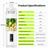 Mixeur portable 600 ml sans fil, pour smoothies, sans BPA, avec couvercle anti-fuite et bec verseur, rechargeable USB-C