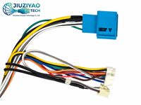Faisceau de câblage automobile personnalisé en PVC avec interface CANBUS compatible pour X5 (modèle préliminaire) – Câble de connexion, assemblage de connecteurs, pièces OEM/ODM