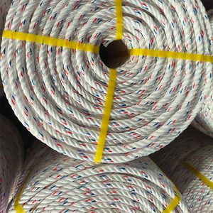 Hot bán 3/4 sợi xoắn chịu mài mòn cường độ cao 4mm 8mm 12mm 16mm 20mm Dây Polypropylene PP danline dây bao bì - Product Image 3