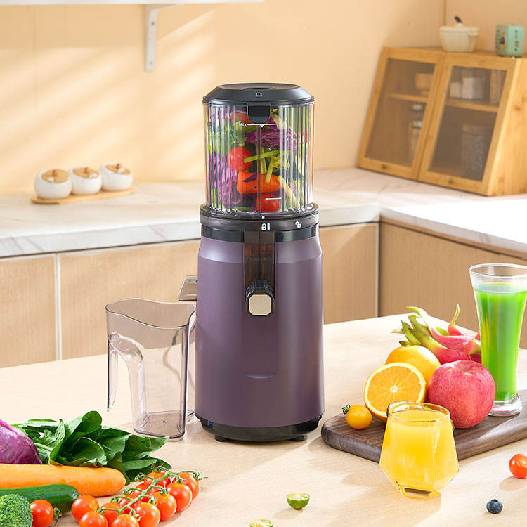 stainless steel cold press juicer