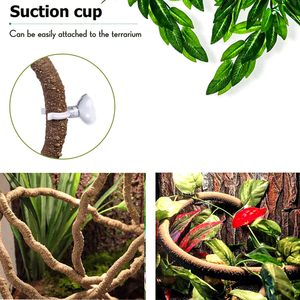 Plantes en PU pour terrarium, vignes flexibles pour reptiles, vignes d'escalade pour jungle, pour <span class=keywords><strong>gecko</strong></span>, serpent, <span class=keywords><strong>lézard</strong></span>, dragon barbu, bernard-l'ermite, grenouille - Product Image 5