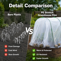 Film plastique transparent extensible en PE facile à assembler pour serre agricole, couverture de tunnel de jardin, résistant aux UV, imperméable