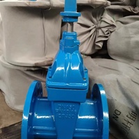 DIN standar DN150 PN16 katup gerbang 6 inci besi cor naik katup batang segel lembut kursi Flange terhubung pipa air katup gerbang