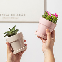 Pot de fleurs miniatures en céramique pour succulentes, motif macaron, avec plateau intégré, idéal pour petites plantes en pot