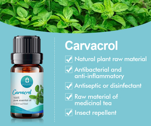 오레가노 <span class=keywords><strong>80</strong></span> 카바롤 개인 라벨 순수 천연 유기농 원액 오레가노 오일 카바트롤의 도매 벌크 프리 샘플 오일 - Product Image 3