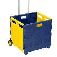 Chariot de courses pliable en plastique personnalisable avec 2 roues, chariot de supermarché, chariot de rangement pour légumes et aliments