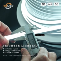 Tira de Neón Flexible IP67 de 12V 1212 120LEDs/M 3000K 4000K 6000K, Silicona Flexible para Paisajismo, Hoteles, Señalización, CE RoHS