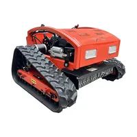 Professional Remote Control Lawn Mower for Weeding Lawn Crawler Lawn Mower for Sale