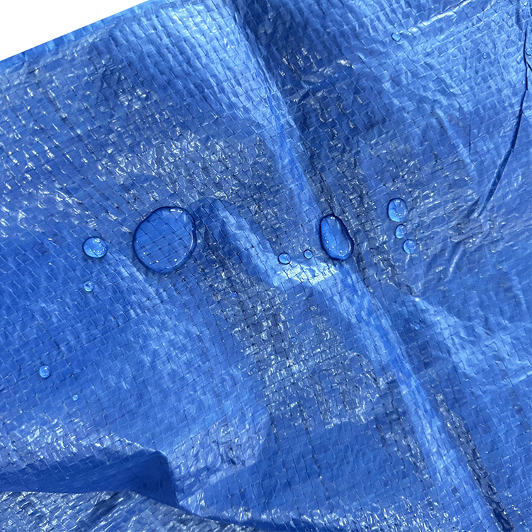 Bleu