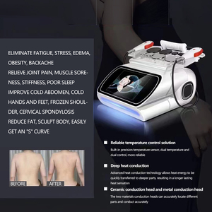 Multi-functional Management Instrument Regalia Multi-Dimensional Body Sculptor Beauty Equipment Cooling Technology Touch Screen - Product Image 2