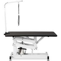 Fabricant chinois électrique/hydraulique Table pour animaux de compagnie Table de toilettage vétérinaire