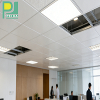 LC Paiement PVC Gypse Ignifuge Plafonds Perforés Panneaux