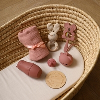 Vente en gros personnalisée : Boîte vintage pour naissance de bébé, hochet en silicone, anneau de dentition en bois d'épinette en forme d'éléphant, poupée gigogne en silicone