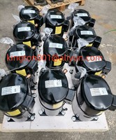 Compresor Bristol Modelo H23A383ABCA
