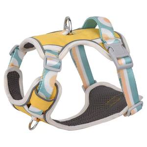 Fashion <b>Dog</b> Leash with Stainless Steel Chain and Oxford Material Adjustable Chest Strap <b>for</b> Medium & Large <b>Dogs</b> - Product Image 1