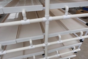 Agricultura Invernadero Vertical Interior Comercial Forraje Micro Hierba Verde Plántulas Bandeja Aeropónico Sistema de Cultivo de Forraje Hidropónico - Product Image 2