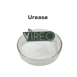Offre Spéciale : Enzyme Uraïase en Poudre 100 000 U/g à Haute Activité, Prix de Gros, Échantillon Gratuit, Fournisseur Direct Usine - Product Image 1