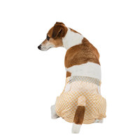 Pet réutilisable formation femme couche lavable jetable couche-culotte pour animaux de compagnie avec fonction imprimée