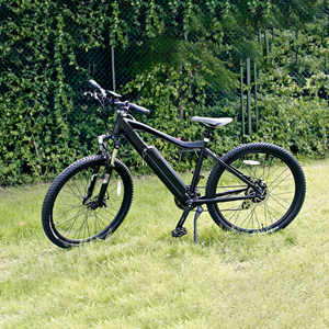 Bicicleta de Montaña Personalizada OEM/ODM de 250W-1500W, Bicicleta de Carretera GP-2751505A, Bicicleta Eléctrica GP-2751505A - Product Image 1