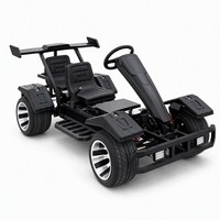 Kart électrique deux places, autonomie 50 km, roues en aluminium de 10 pouces, pour loisirs en plein air, parcs et fermes