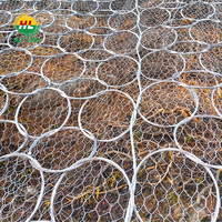 Système de barrière physique anti-drone à défense passive |   Clôture de sécurité 3D en fil de fer galvanisé, maille tissée, revêtement PVC |   Flood Galvanized