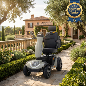 Scooter Elettrico Smart da 750W con Schermo TFT da 5,5'', Avvio Senza Chiave e Lunga Autonomia - Ruidi R49SE - Product Image 6