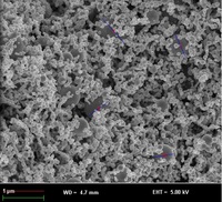 Nano Ni 50nm >99,9% poudre de nano-nickel nano-nickel