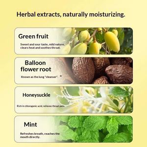 OEM/ODM健康食品のどケア錠剤 スイカズラミント配合 喉の赤みや腫れに 50g入り 24ヶ月の賞味期限 新生児には不適切 - Product Image 4