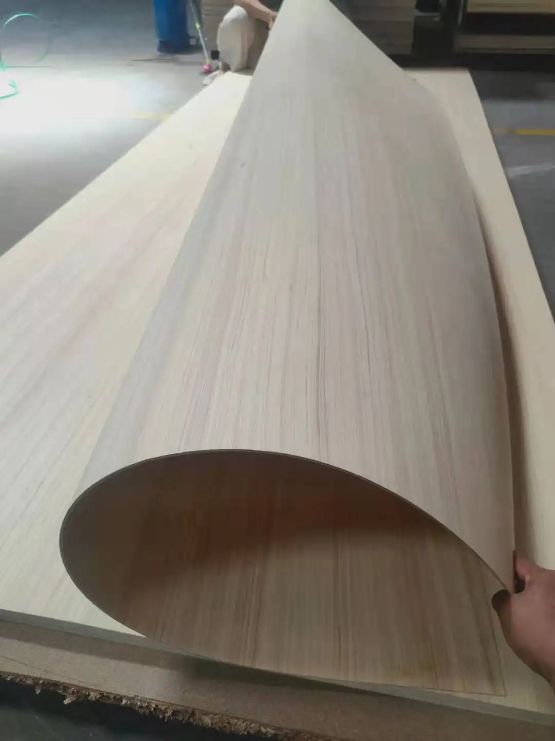 Lembar Kayu Poplar Fleksibel, Lembar Kayu Lapis Dapat Ditekuk 4Mm untuk Furnitur