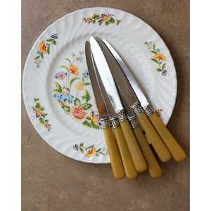 Ensemble de 6 couteaux à dîner avec manche en résine - Product Image 5