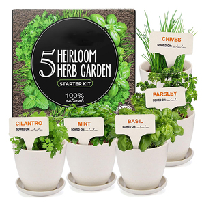 Kit de démarrage pour le jardinage à domicile, mini cuisine <span class=keywords><strong>bio</strong></span>, fenêtre, <span class=keywords><strong>jardin</strong></span> avec pots, fonction pot de fleur - Product Image 1