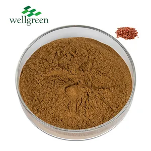 Ziziphus Jujuba Extract Poeder 10 1 Verhouding Natuurlijke Plantensupplementen Poeder Jujube Zaad Extract