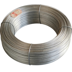 Alambre de Acero Galvanizado Shandong de 0.8-4.5mm, Calibre 16, Calibre 18, Q195, Alambre para Atar, Perchas para Ropa - Product Image 2